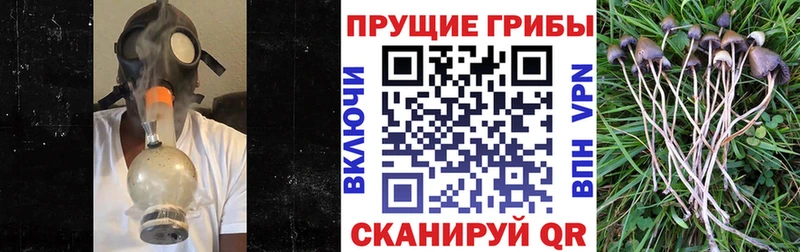 Галлюциногенные грибы GOLDEN TEACHER Купить Кириши